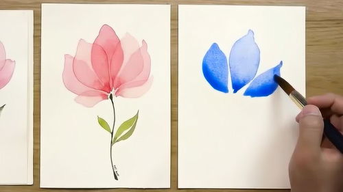藝術(shù)與健康的雙重綻放 當(dāng)花朵之美邂逅健身之趣