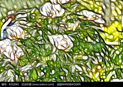 花影與鋼骨 當(dāng)白色牡丹藝術(shù)畫邂逅健身器材